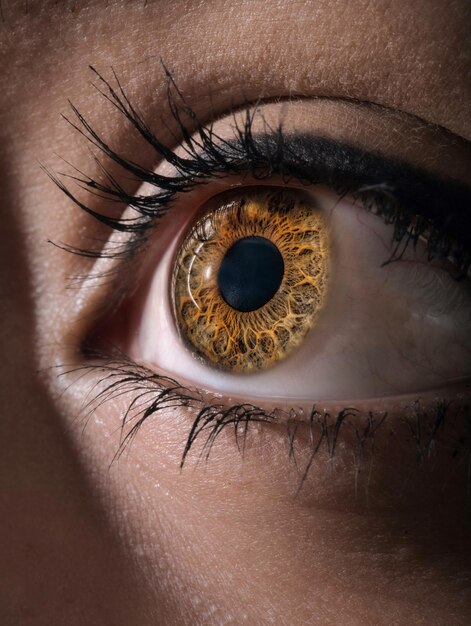 Closeup shot of a beautiful eye of a woman