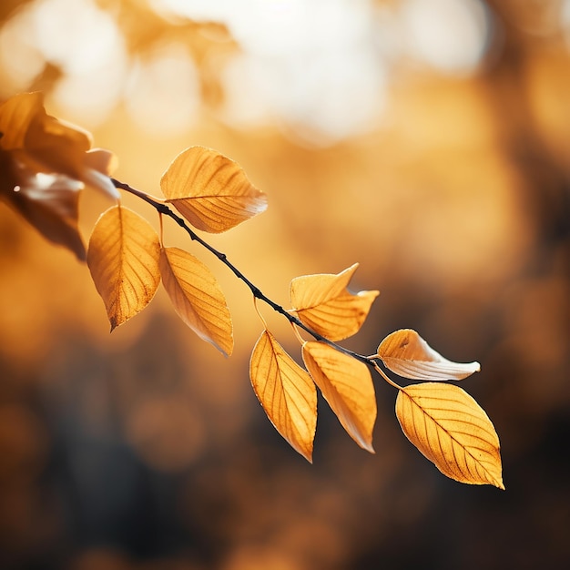 Photo closeup shot of beautiful golden leaves on a branch