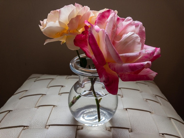 Closeup shot of beautiful roses in the vase on the couch