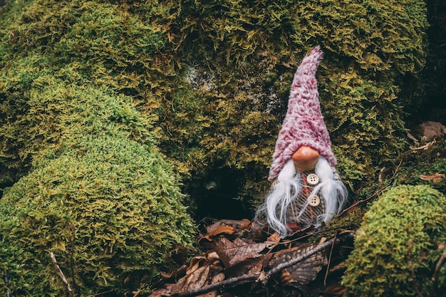 Closeup shot of a cute garden gnome on the mossy ground with fallen leaves