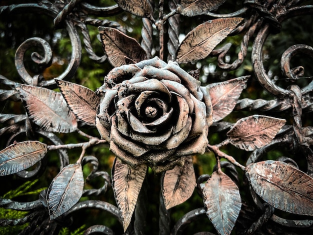 Photo closeup shot of decorative metal rose