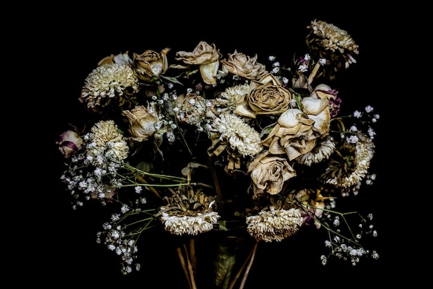 Closeup shot of dried wilting flowers on a black background