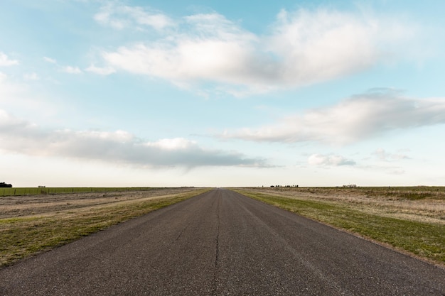 Closeup shot of an empty road and grasslands on a cloudy day