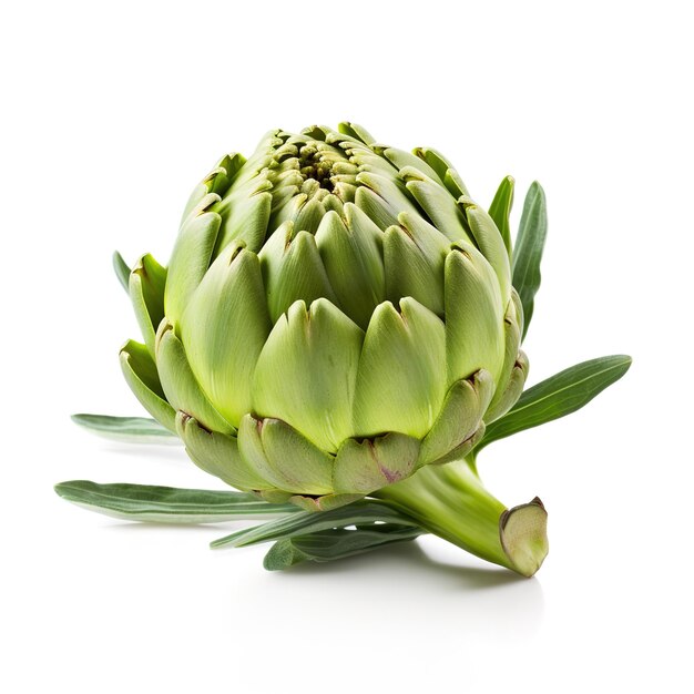 Premium AI Image closeup shot of fresh artichokes