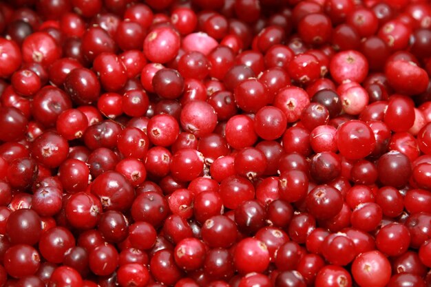 Photo closeup shot of fresh red cranberries