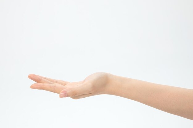 Closeup shot of a hand with the palm facing up isolated on a white background