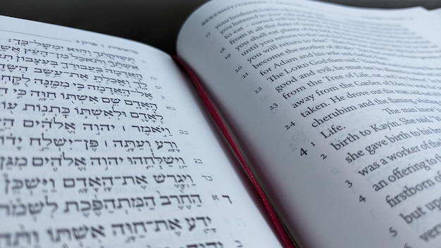 사진 에 영어 번역판 이 있는 히브리어 성서 의 클로즈업 사진