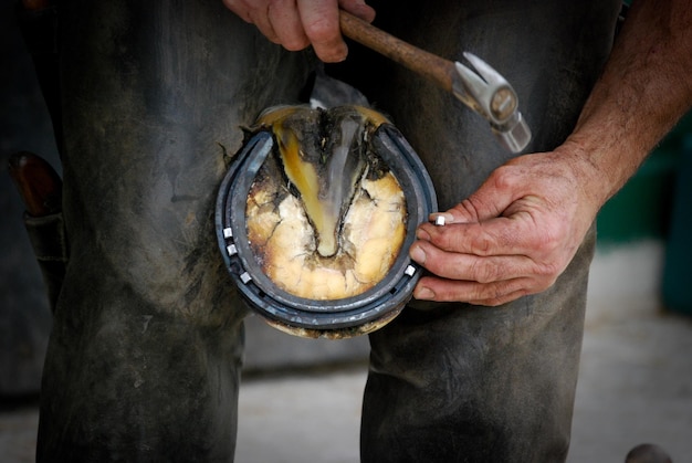 Closeup shot of a person working with a Horse farrier and hoof