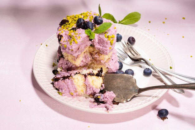 Closeup shot of a piece of delicious cake with blueberries on a white plate