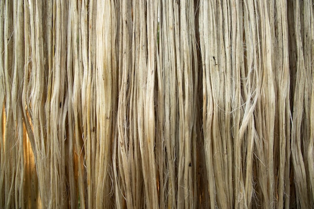 Крупный план сырого джутового волокна, висящего под солнцем для сушки. Фон текстуры коричневого джутового волокна.
