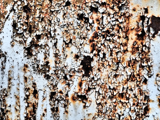 A closeup shot of a rusty metal surface Corosion