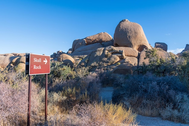 Closeup shot of skull rock at joshua tree national park