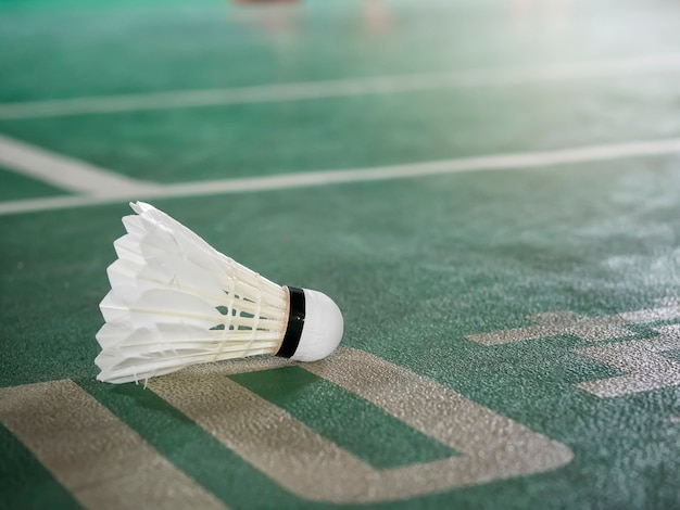 Photo closeup shot of white badminton shuttlecock on green court.