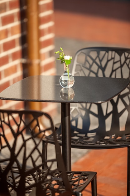 Closeup shot of white flower in vase standing on table at outdoor cafe