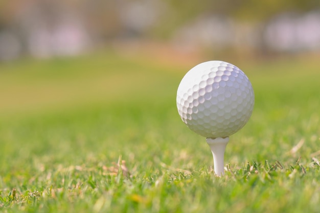 A closeup shot of a white golf ball in a course