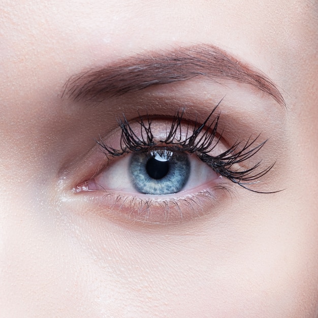 Closeup shot of woman eye with day makeup