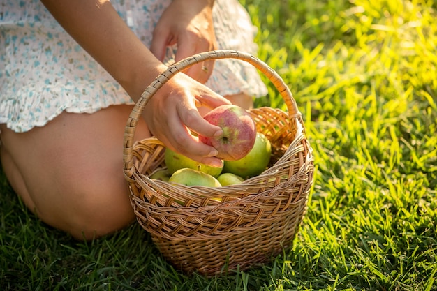 Closeup shot of woman with basket full of apples sitting on grass