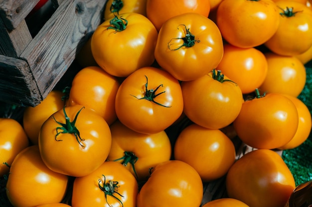 Closeup shot of yellow tomatoes