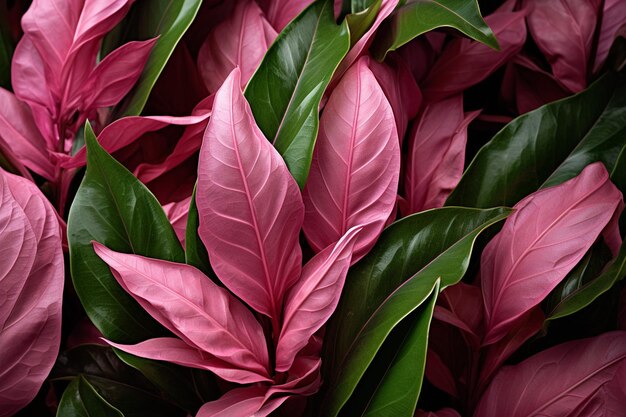 Фото closeup shots of peony leaves and stems showcasing their unique characteristics