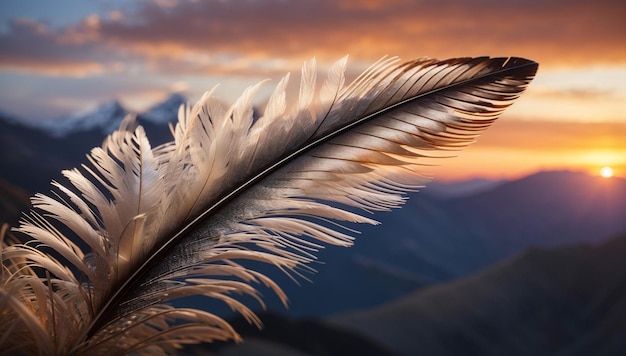 A closeup of a single feather its intricate