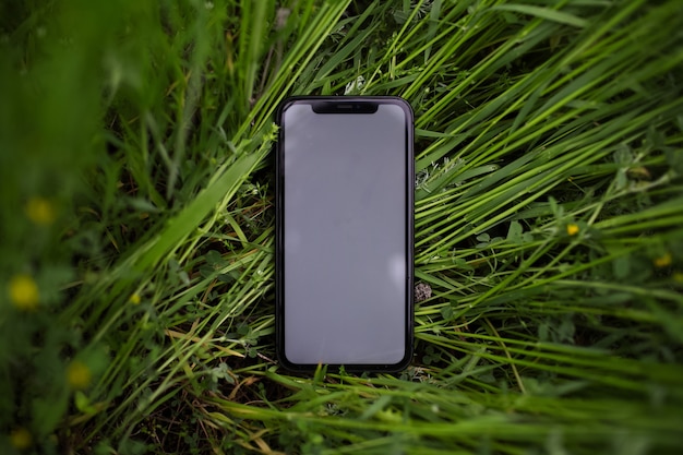 Closeup of smartphone with mockup in green grass. Top view.