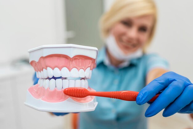 Closeup of smiling dentist showing the