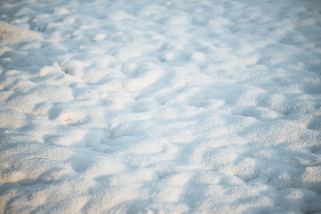 Closeup of the snow on the ground