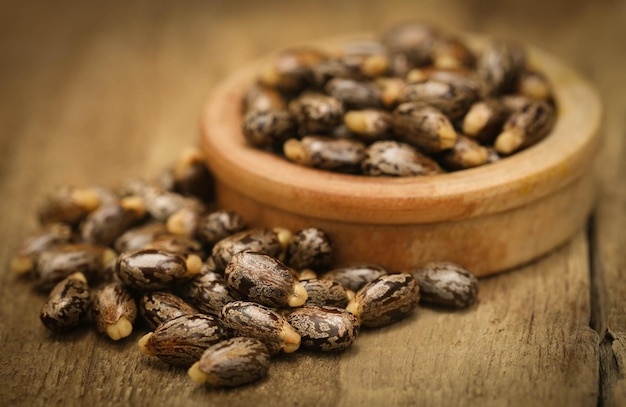 Closeup of soem dry castor beans