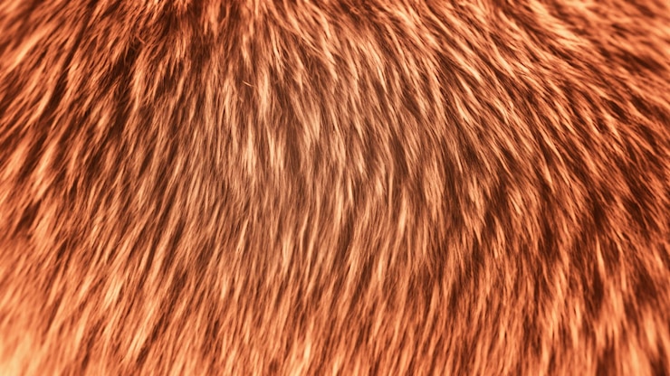 फोटो closeup of soft reddishbrown animal fur texture highlighting the natural wavy patterns and intricate details
