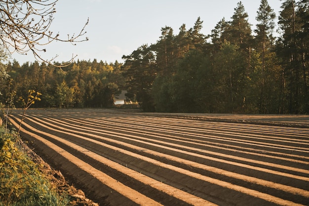 Closeup of the soil of the farmland Unused plantation field Landscape scenery a meadow soil