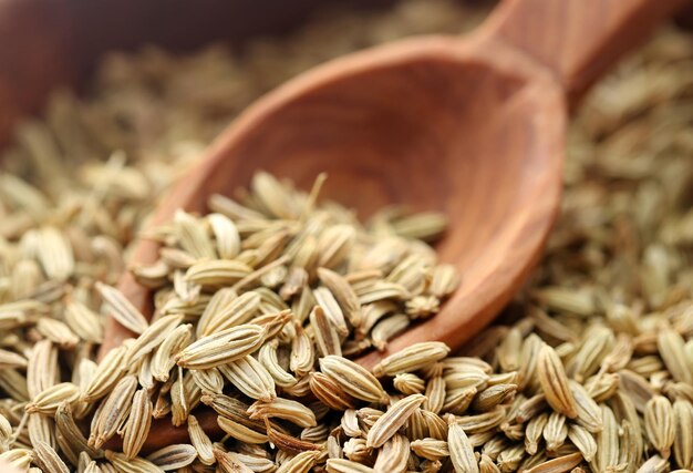 closeup of some fennel seeds with wooden spoon