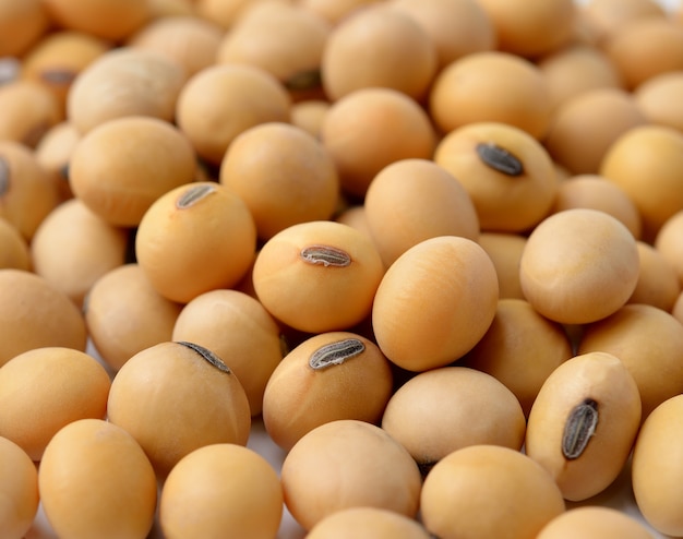 Closeup of soy beans