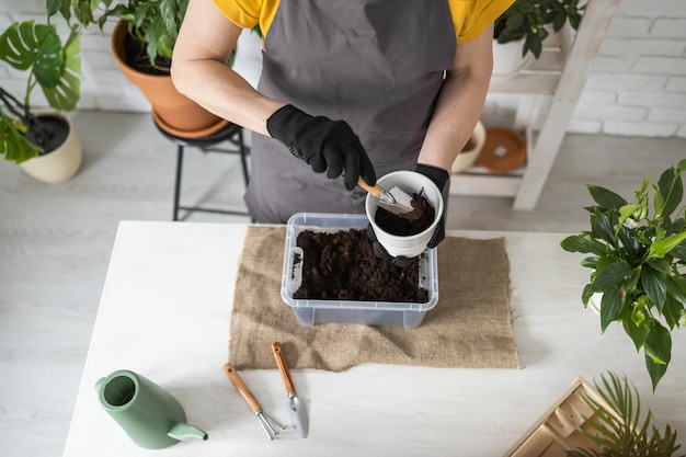 Primo piano primavera cura delle piante d'appartamento rinvaso piante d'appartamento svegliare le piante d'appartamento per la primavera donna di mezza età sta trapiantando la pianta in un nuovo vaso a casa pianta di trapianto del giardiniere spathiphyllum