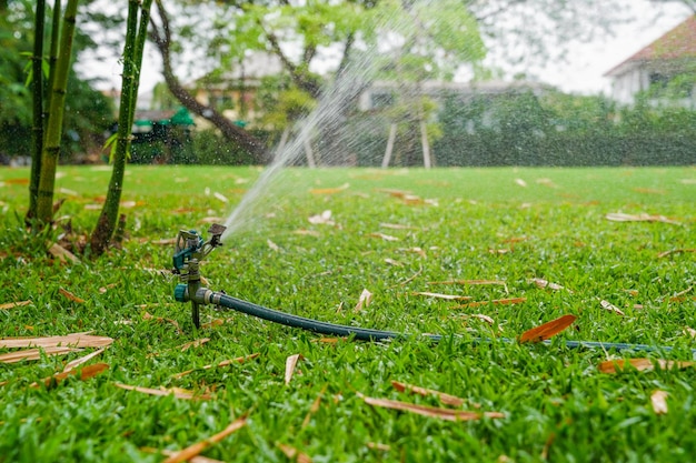 Closeup sprinkle splashing water on grass in the garden