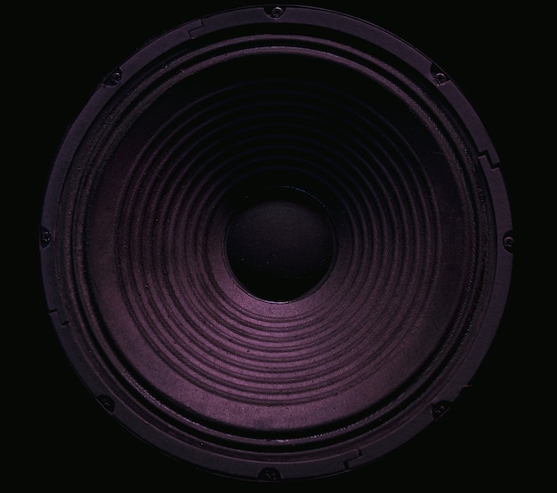 Photo closeup of stereo loudspeaker on black background.