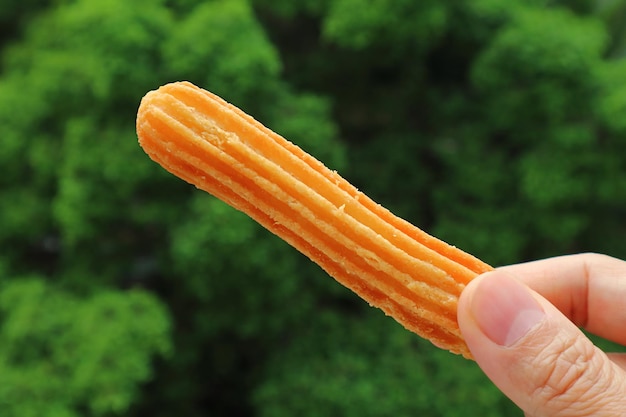 Closeup a Stick of Fresh Fried Churro in Hand against Blurry Green Foliage