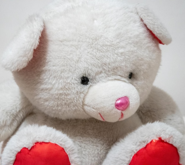 Closeup of a stuffed white bear children's toys