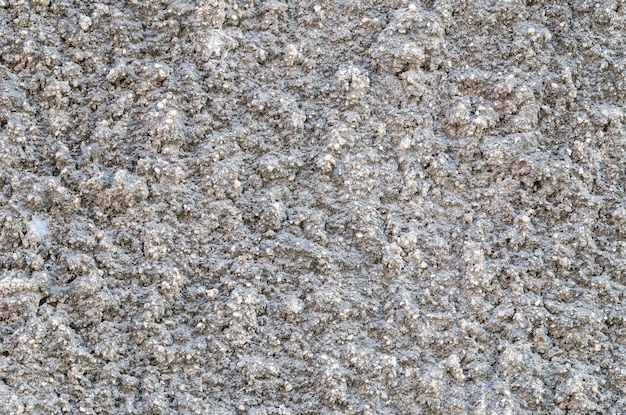 Fondo sporco di superficie del muro di cemento del primo piano