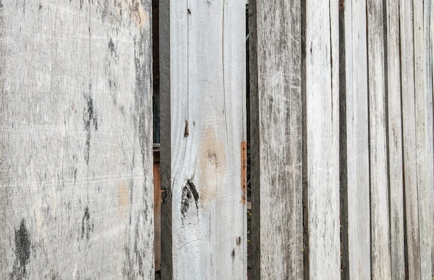 Closeup surface wood pattern at the old and dried wood board wall texture background