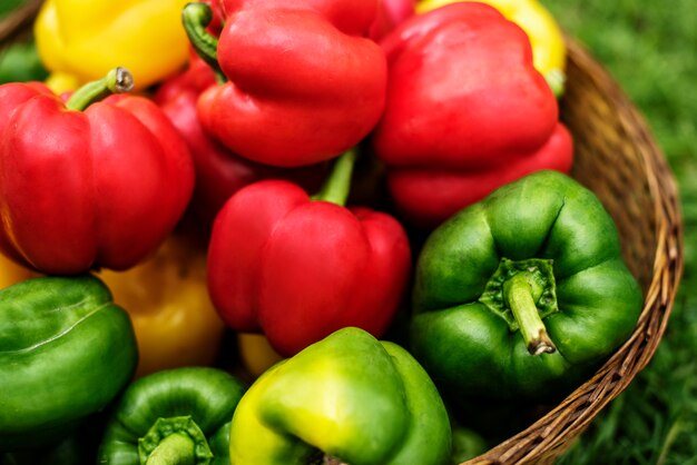 Photo closeup of sweet bell peppers