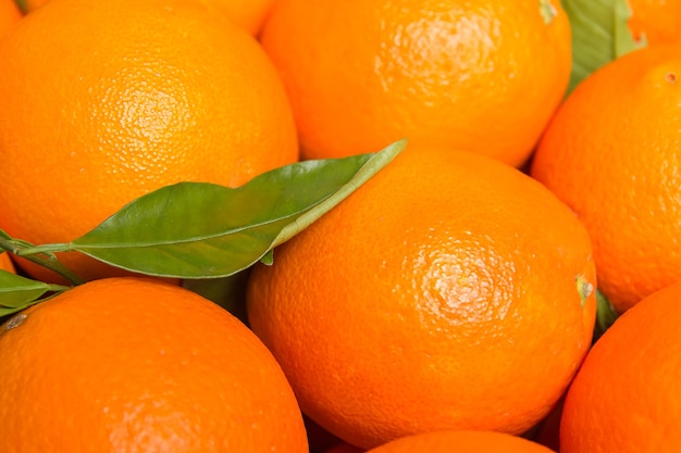 Closeup of tasty spanish oranges freshly collected