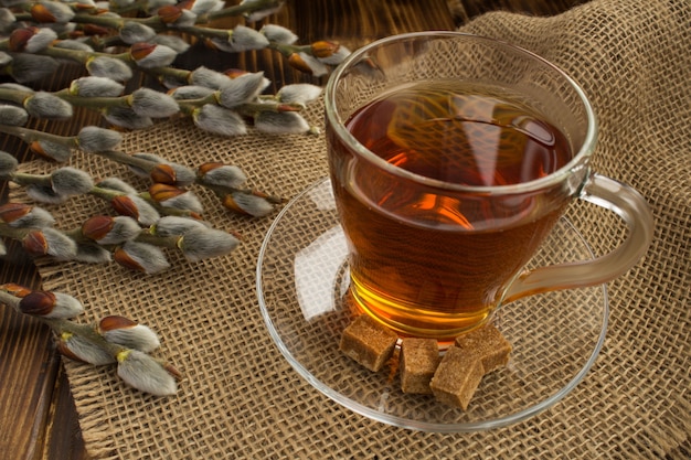 Closeup on tea in the glass cup and willow flowers