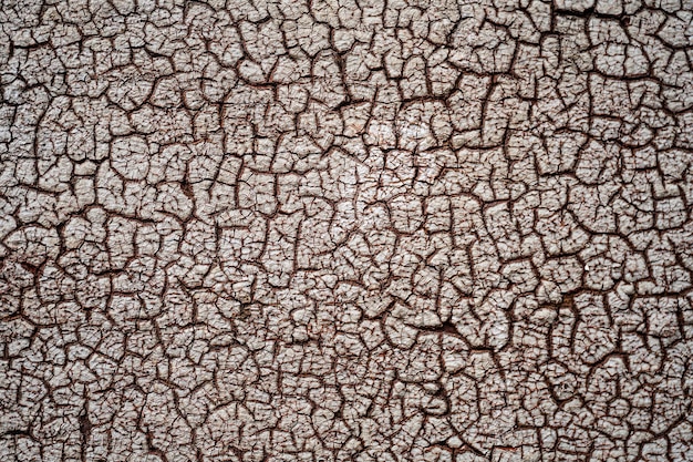 Closeup texture cracked wall paint