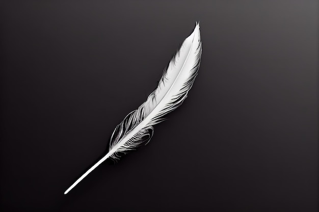 Closeup texture of a pastel angel feather on a dark
background