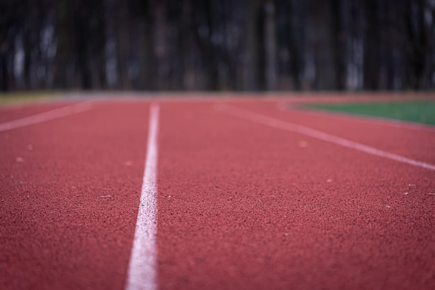 Closeup texture of a running track in a stadium