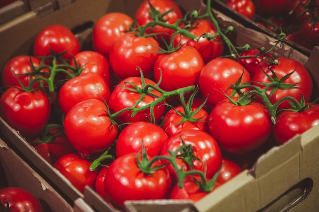 Closeup tomatoes in a box on the counter