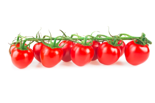 Closeup of tomatoes on the vine isolated on white