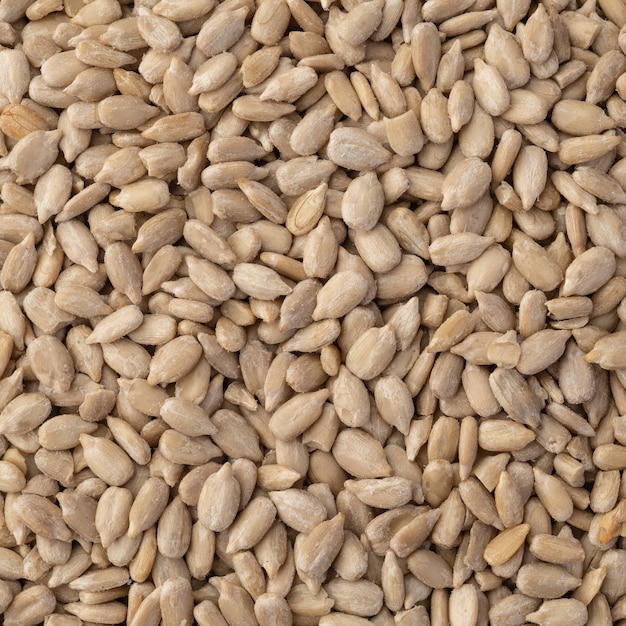 Closeup top view of sunflower seeds. Food backdrop.