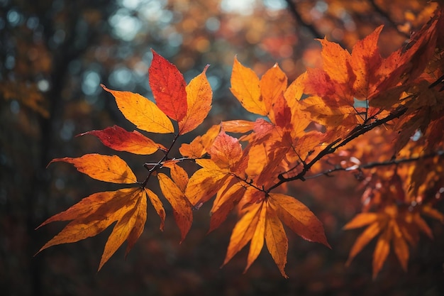 closeup of tree trunk with leaves in warm colors