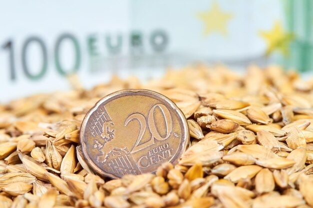 Closeup of twenty cent euro coin in barley grains on the\
background of one hundred euro bill